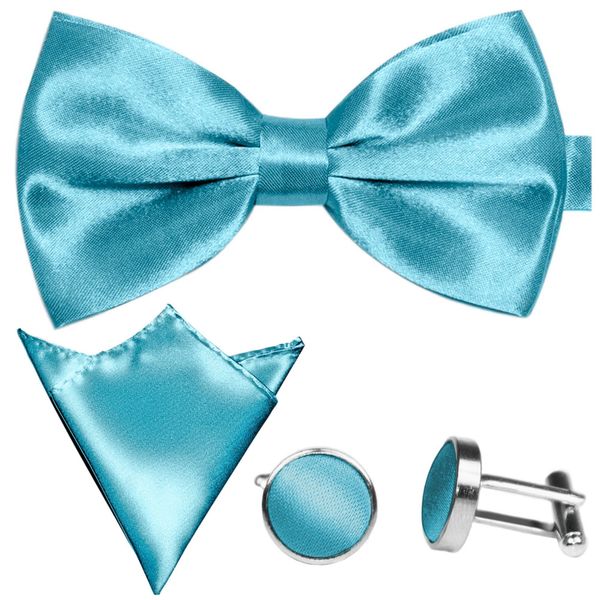 GASSANI Fliege Hochzeitsfliege, Herren-Schleife Kavalierstuch, Hochzeit günstig online kaufen