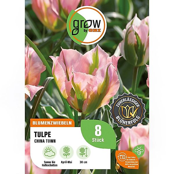 GROW by OBI Tulpe China Town Rosa-Weiß-Grün 8 Stück Tulipa viridiflora Chin günstig online kaufen