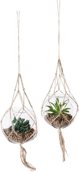 Creativ green Kunstpflanze "Sukkulenten" mit Makramee-Aufhängung günstig online kaufen