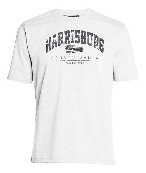 AHORN SPORTSWEAR T-Shirt "HARRISBURG", mit modischem Print günstig online kaufen