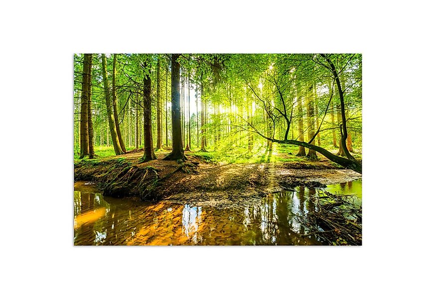 MuchoWow Poster Wald - Landschaft - Wasser - Bäume - Sonne - Grün - Natur, günstig online kaufen