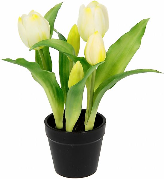 I.GE.A. Kunstblume "Tulpen" Im Topf Real-Touch Blüten Tulpe Tulpenstrauß La günstig online kaufen