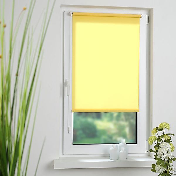 Seitenzugrollo Uni, HOMBERA, Lichtschutz, ohne Bohren günstig online kaufen