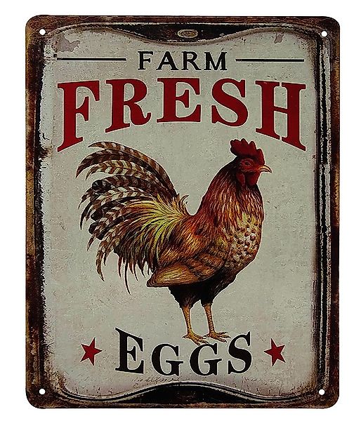 Blechschild FARM FRESH EGGS Hahn Dekoschild Nostalgie Vintage 25x20cm günstig online kaufen
