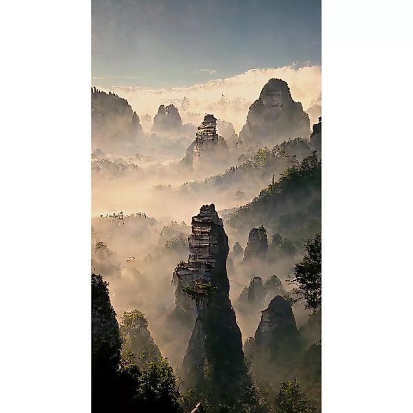 Erismann Digitaltapete Zooom Asian Hills 270 cm x 150 cm günstig online kaufen