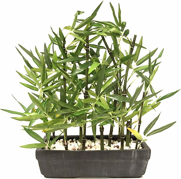 Kunstpflanze Bambus, I.GE.A., Höhe 45 cm, Mit Natursteinen günstig online kaufen