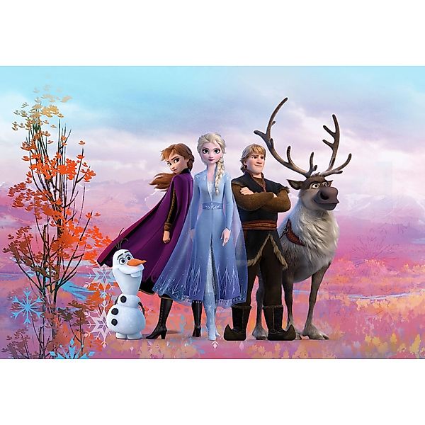 Disney Fototapete Die Eiskönigin Lila und Blau 368 x 254 cm 610957 günstig online kaufen