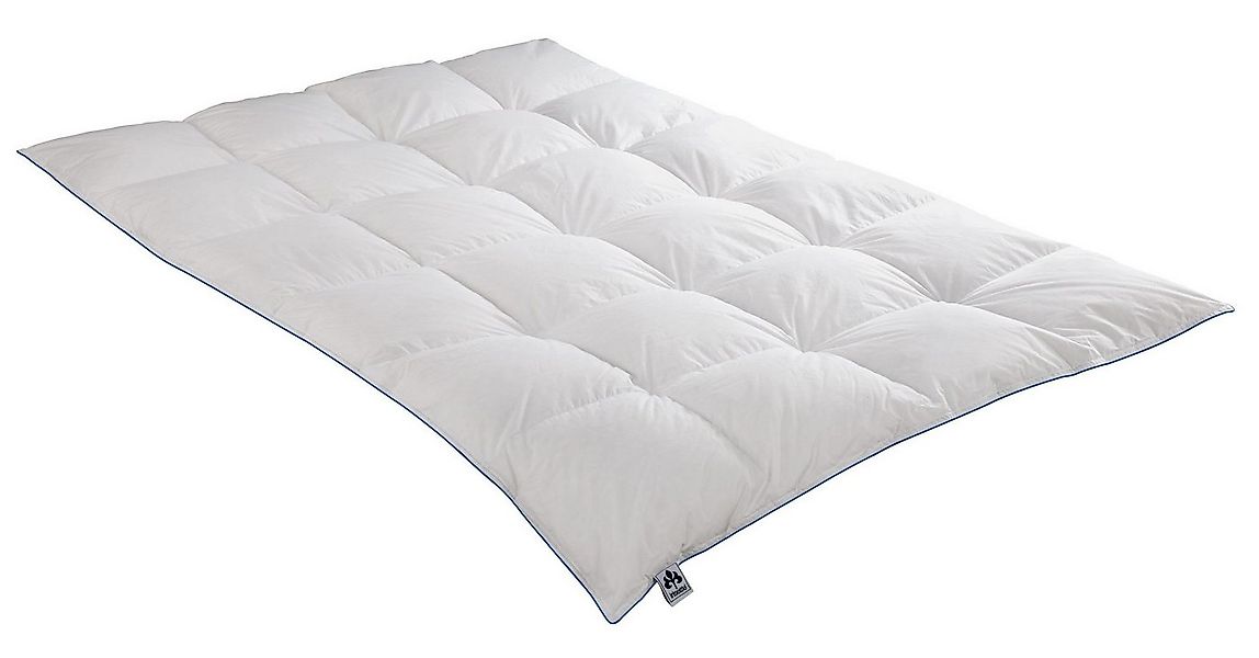 Irisette Daunenbettdecke Daunendecke Luna, Füllung: 100% Gänsedaunen, Bezug günstig online kaufen