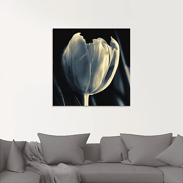 Artland Glasbild "Tulpe", Blumen, (1 St.), in verschiedenen Größen günstig online kaufen