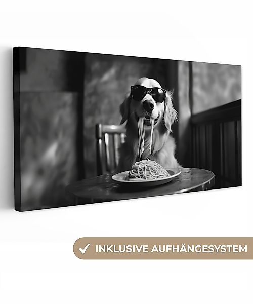 OneMillionCanvasses® Leinwandbild Panorama Golden Retriever - günstig online kaufen