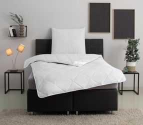 Home affaire Naturhaarbettdecke Chailley Bettdecke in günstig online kaufen