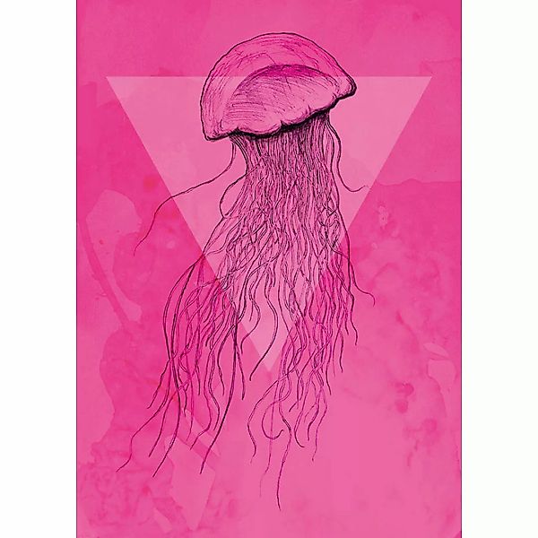 Komar Poster Jellyfish Pink Tiere B/L: ca. 50x70 cm günstig online kaufen