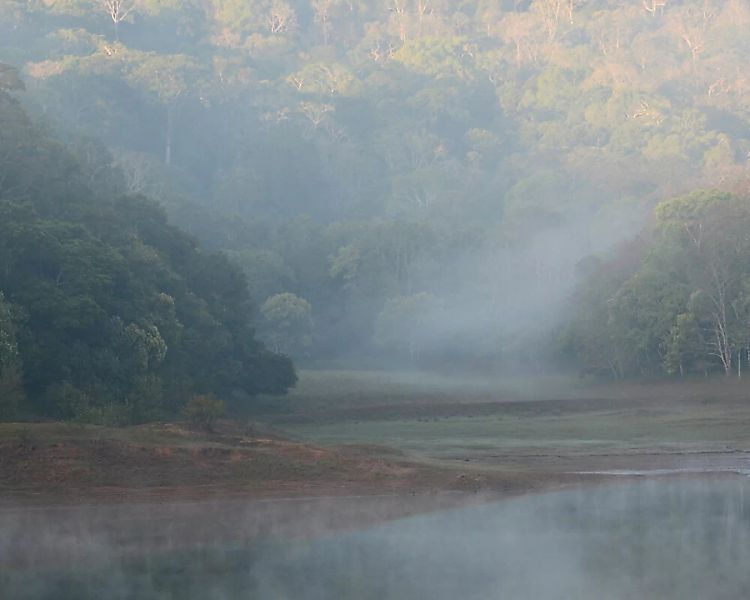 Fototapete "Nebel Indien" 4,00x2,50 m / Glattvlies Brillant günstig online kaufen