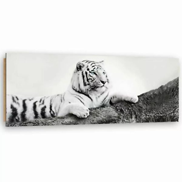 FEEBY® Kunst Der wachsame Tiger Leinwandbilder bunt Gr. 120 x 40 günstig online kaufen
