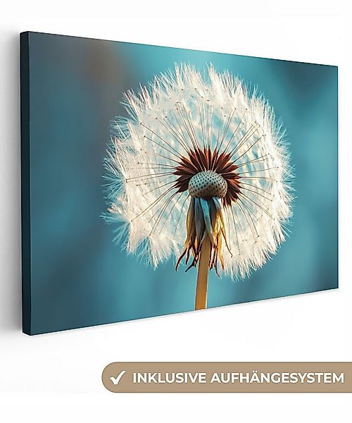 OneMillionCanvasses® Leinwandbild Löwenzahn - Natur - Blumen - Blau, Fotodr günstig online kaufen