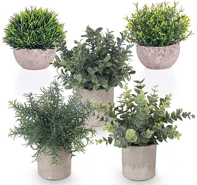 Künstliche Zimmerpflanze 5 Stück Mini Kunstpflanzen mit Töpfen Eukalyptus R günstig online kaufen