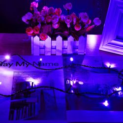 Rosnek LED-Baummantel 20m LED Lichterkette for günstig online kaufen