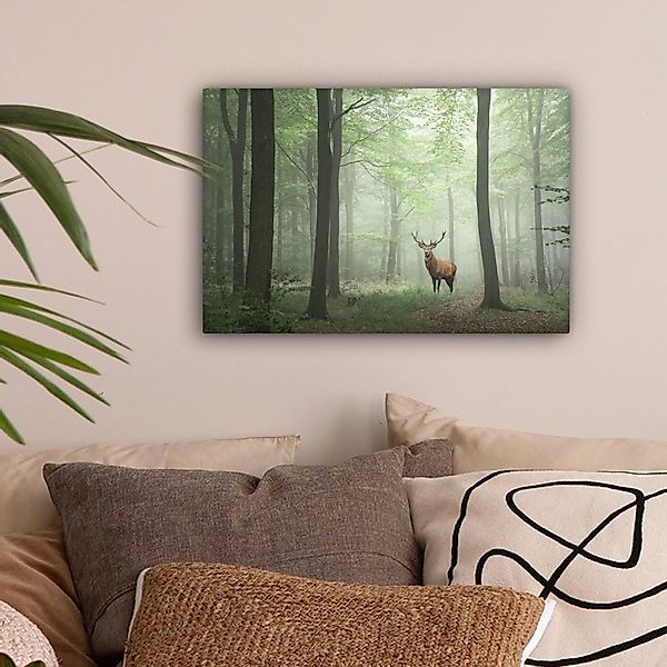 OneMillionCanvasses® Leinwandbild Hirsche - Wald - günstig online kaufen