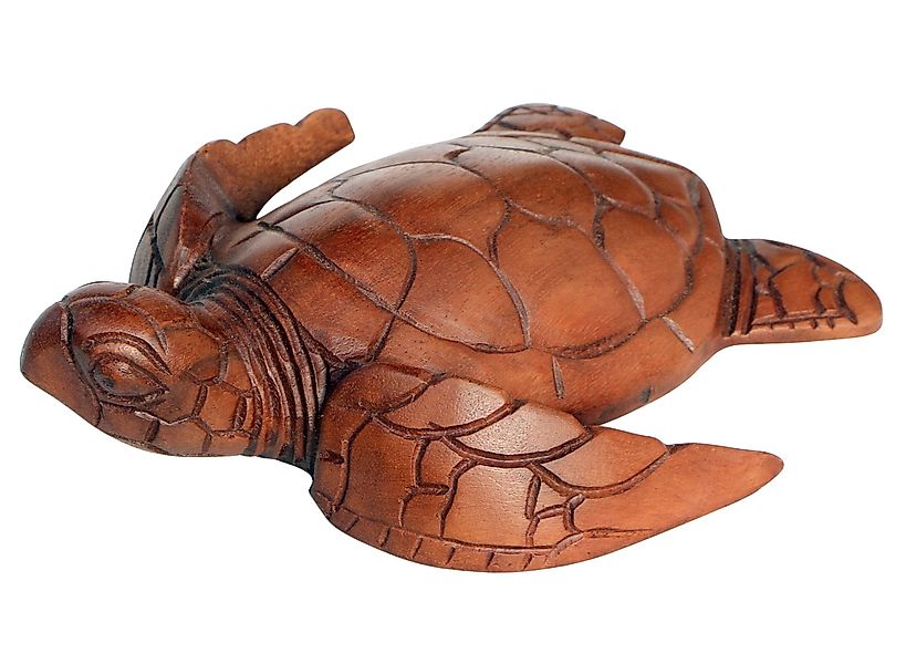 Wogeka Tierfigur Wasser-Schildkröte Holz-Figur Schildi Tier günstig online kaufen