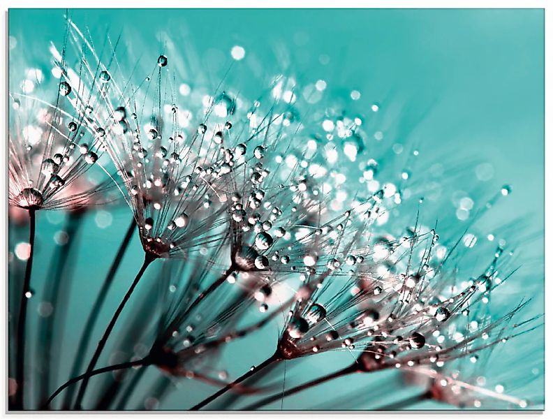 Artland Glasbild "Glitzernde Pusteblume I" 1 Stk. tlg. in verschiedenen Grö günstig online kaufen