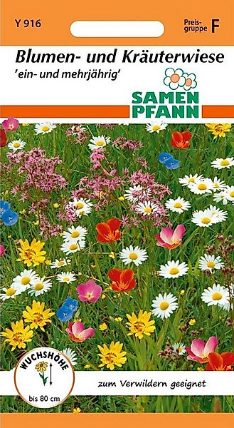 SAMEN PFANN Blumensamen Blumen- und Kräuterwiese - Blumenmischung Saatgut S günstig online kaufen