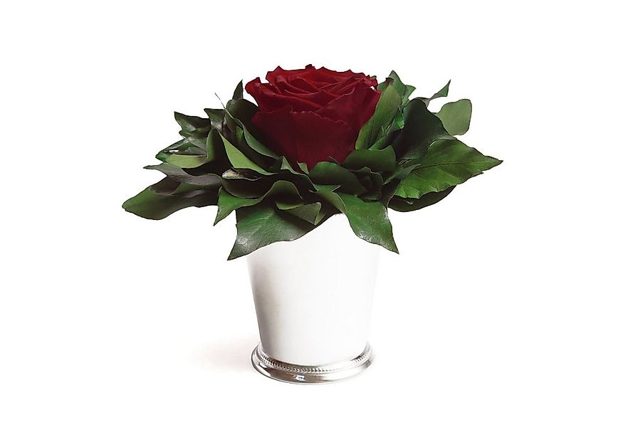Kunstblumenstrauß Blumengesteck 1 Infinity Rose Becher silberfarben Geschen günstig online kaufen