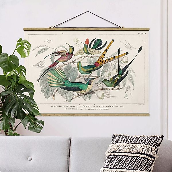 Stoffbild mit Posterleisten Kolibri-Diagramm günstig online kaufen