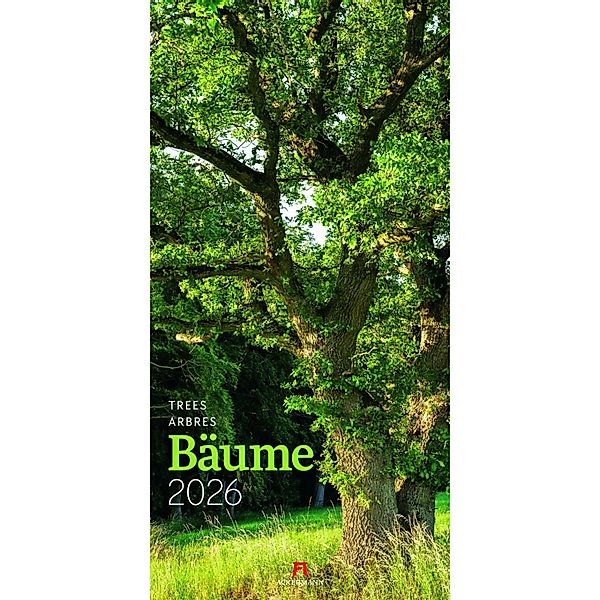 Bäume Kalender 2026 günstig online kaufen