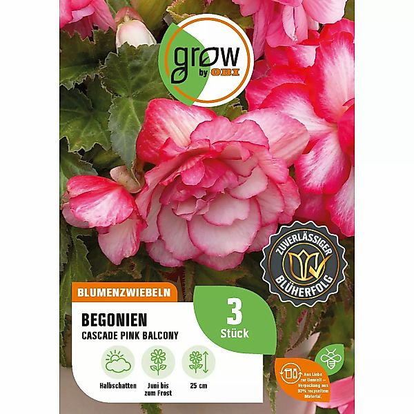 GROW by OBI Begonie Cascade Pink Balcony Höhe ca. 25 cm Begonia cascade günstig online kaufen