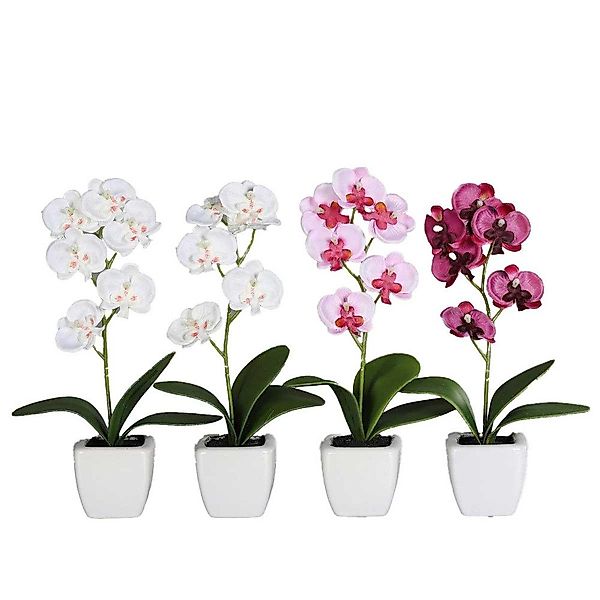 Kunstblume Kunstblume - Orchidee - im günstig online kaufen
