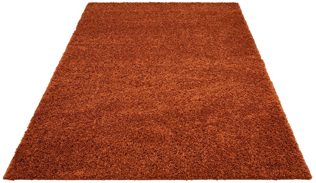 my home Hochflor-Teppich "Viva" rechteckig 45 mm Höhe Uni Farben, einfarbig günstig online kaufen