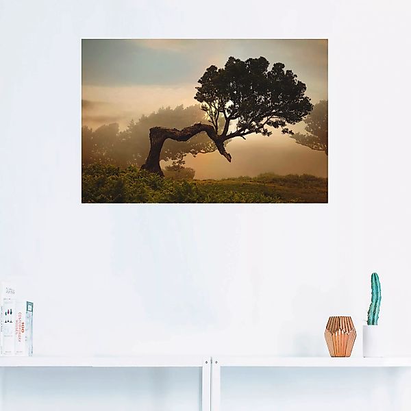 Artland Wandbild "Lorbeerbaum", Bäume, (1 St.), als Alubild, Outdoorbild, L günstig online kaufen