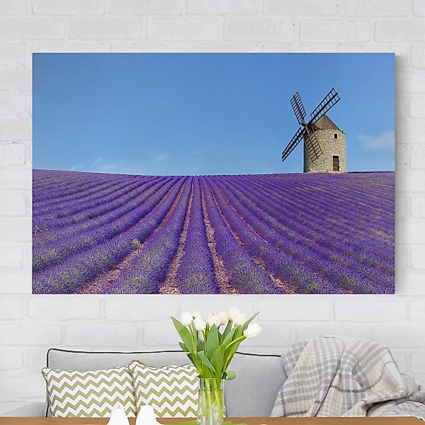 Leinwandbild Natur & Landschaft - Querformat Lavendelduft in der Provence günstig online kaufen