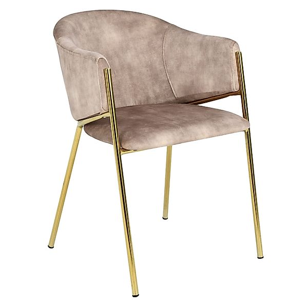 riess-ambiente Esszimmerstuhl NOBLESSE champagner beige/gold - günstig online kaufen