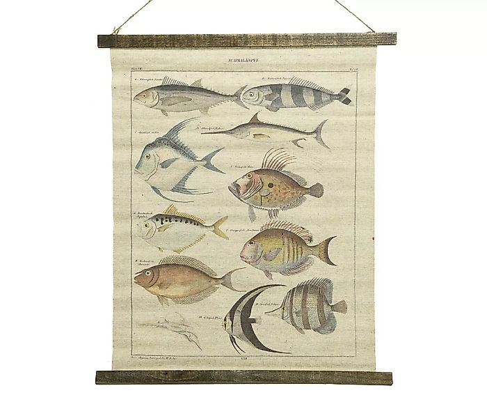 Schulwandkarte Wandbild Fische Biologie Nostalgie Leinwand 72x60cm günstig online kaufen