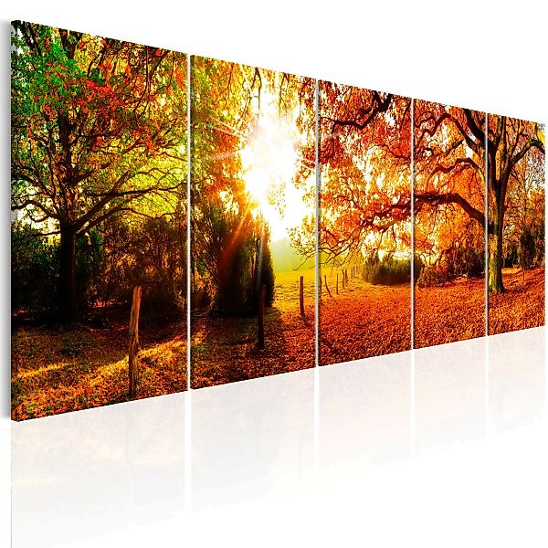 Wandbild - Enchanting Autumn günstig online kaufen