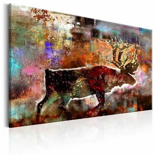 artgeist Wandbild Colourful Caribou mehrfarbig Gr. 60 x 40 günstig online kaufen