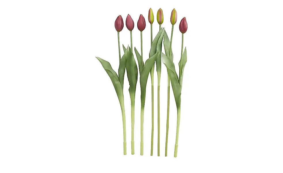 Tulpenbund, 7-fach ¦ rot ¦ Kunststoff, PVC ¦ Maße (cm): H: 44 Accessoires > günstig online kaufen