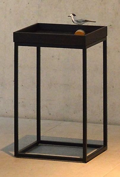 Fiam Beistelltisch "pino", in verschiedenen Gestellfarben, Höhe 55 cm günstig online kaufen