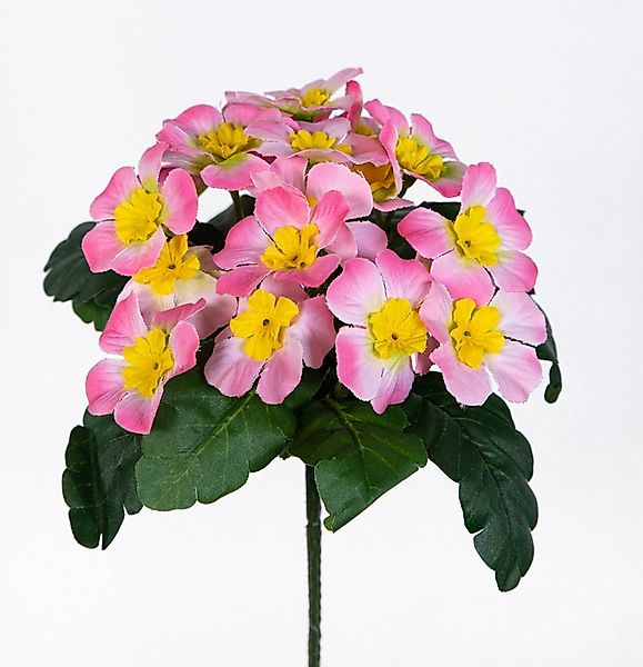 Kunstblume Primel 24x22cm mit 20 Blüten PM Kunstblumen künstliche Schlüssel günstig online kaufen