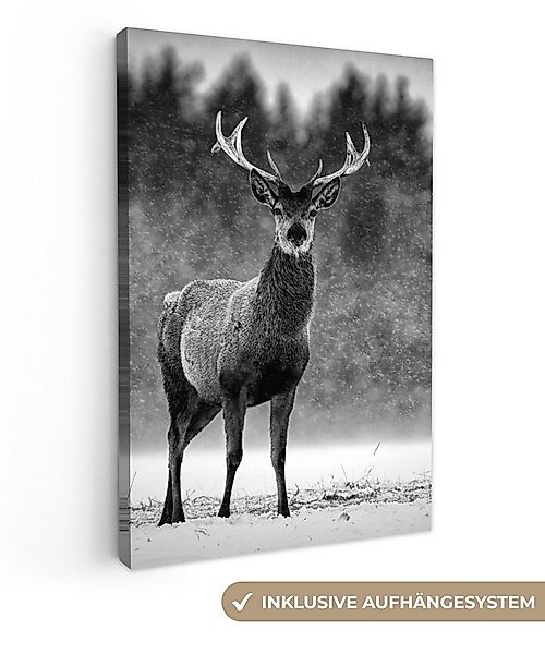 OneMillionCanvasses® Leinwandbild Tiere - Hirsche - Winter - Schwarz - Weiß günstig online kaufen