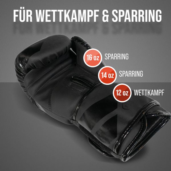Apollo Boxhandschuhe Boxhandschuhe Männer Champion Thai günstig online kaufen