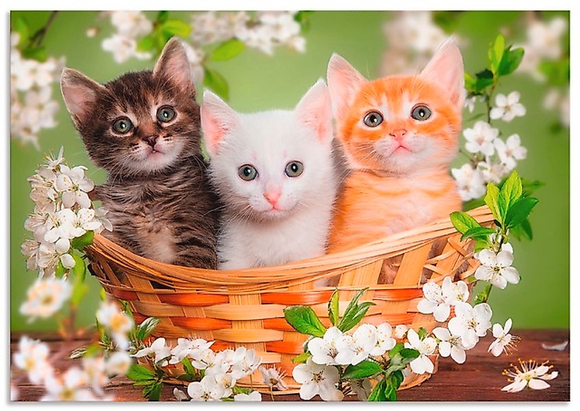 Artland Wandbild »Katzen sitzen in einem Korb« Haustiere 1 Stk. tlg. als Le günstig online kaufen