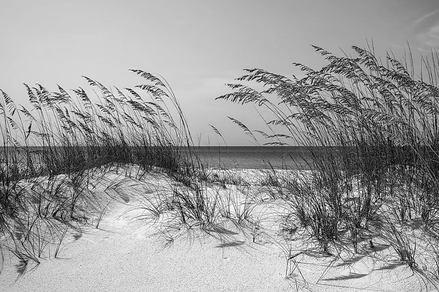 Papermoon Fototapete Strand Schwarz & Weiß günstig online kaufen