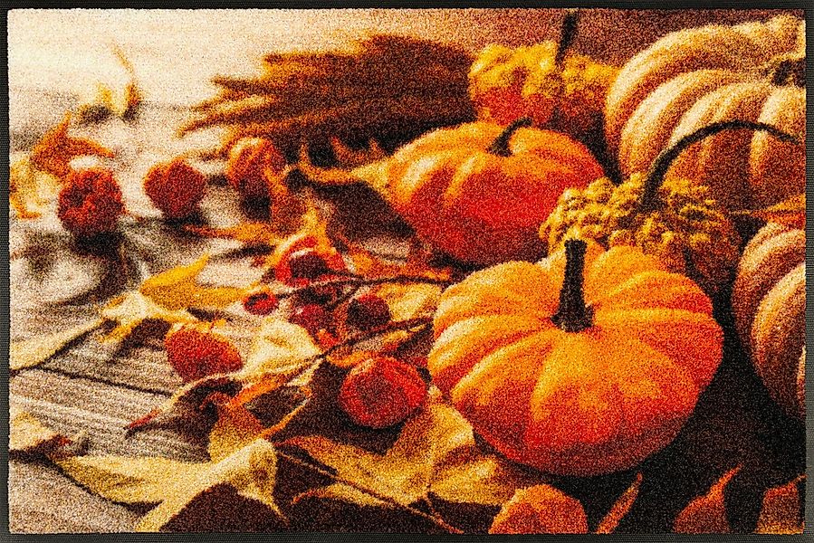 wash+dry by Kleen-Tex Fußmatte Pumpkin Glow, rechteckig, Höhe: 7 mm, waschb günstig online kaufen