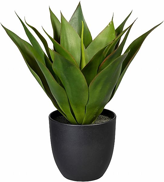 Creativ green Künstliche Zimmerpflanze "Agave" günstig online kaufen