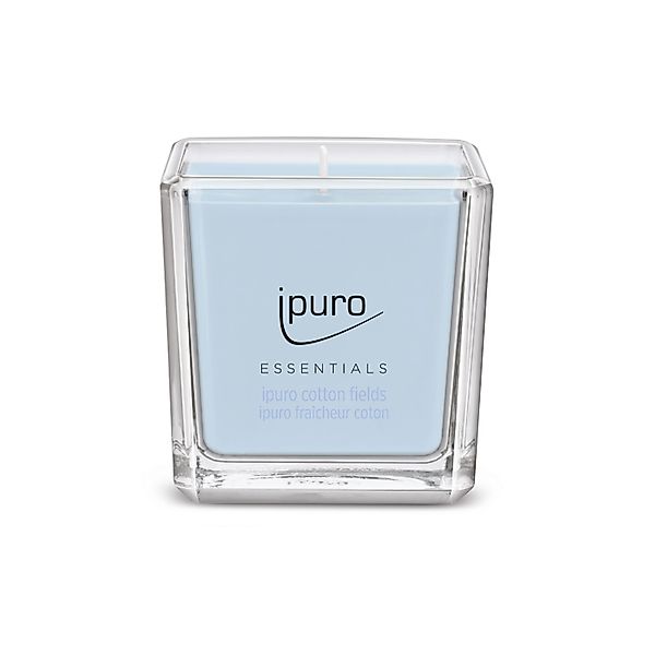 IPURO Duftkerze ipuro ESSENTIALS Duftkerze Cotton Fields 125 g günstig online kaufen