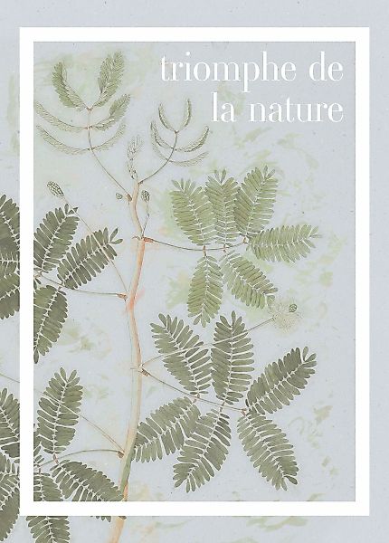 Komar Bild "PLANT ART Triomphe de la nature" Natur 1 Stk. tlg. Wandbild zur günstig online kaufen