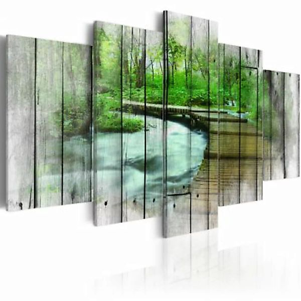 artgeist Wandbild Forest of Secrets mehrfarbig Gr. 200 x 100 günstig online kaufen