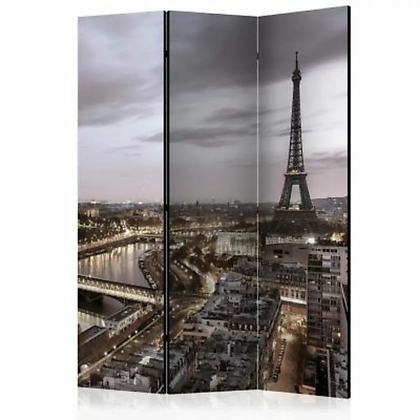 artgeist Paravent Night in Paris [Room Dividers] grau/braun Gr. 135 x 172 günstig online kaufen